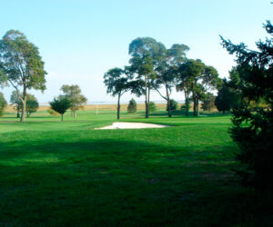 The day I rode shotgun in his golf cart was raw and gray. After nine holes, he emerged from the clubhouse and said, "I was hoping somebody would call it off while I was inside."