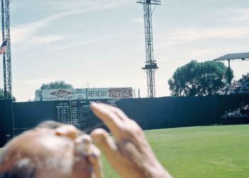 It's hard to envision the old ballpark given the protean nature of the urban landscape. At left, the old oak tree that stood sentinel just beyond the centerfield fence where Mantle disturbed nesting birds in 1956.