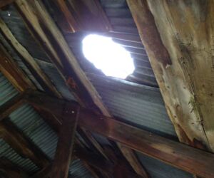 The owners, who hoped to turn "the Commerce Comet's Boyhood home" into a museum, braced the shed to lean forever.