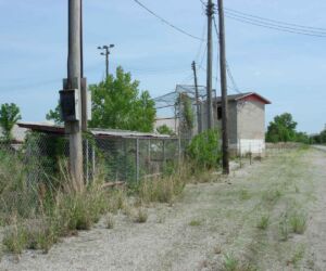 Mantle played his first organized baseball games at Paul Douthat Field in Picher. One day on his way home from work, he saw Mickey batting right-handed against a right-handed pitcher. "He jumped his ass," cousin Max Mantle said.