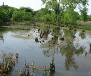 Forty one contaminated acres in the Tri-State Mining Region were added to the EPA Superfund list in 1983.