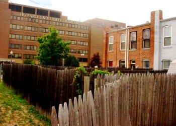 Like many D.C. neighborhoods, LeDroit Park had many alleys and cut -throughs like the one seen at left.