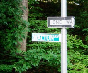 My grandmother lived around the corner at 751 Walton Avenue near the corner of 158th St.