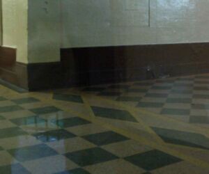 I hop scotched from one pool of light to the next on my way to her apartment.